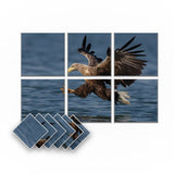 Arrowzoom Animal Velcro Felt Art Wall Panels KK1225 Design C / 6 Pieces - 90 x 60 cm / 35.4 x 23.6 in